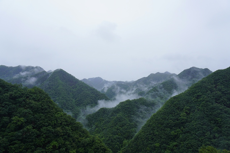 河南雙志團(tuán)建風(fēng)景圖